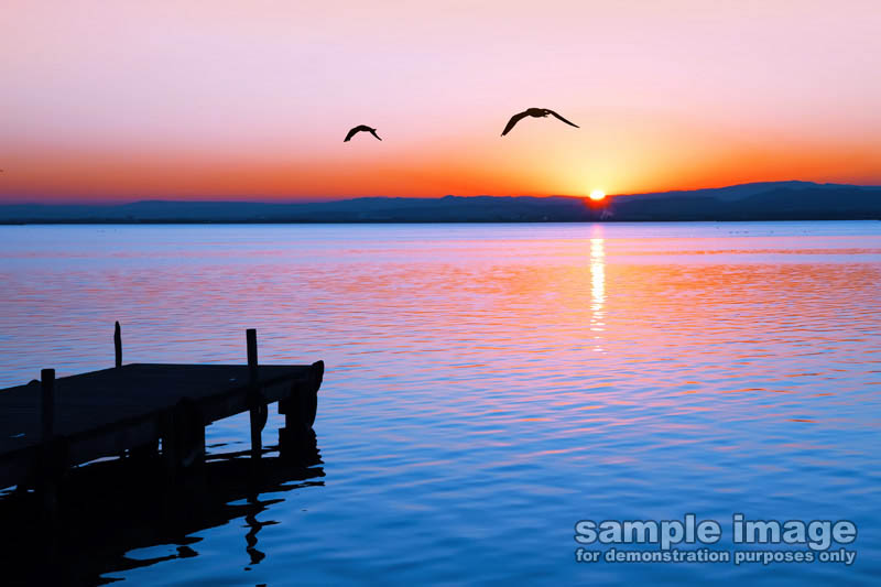 nature-sun-sp-016.jpg