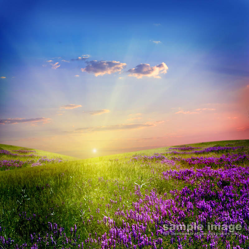 nature-sun-sp-017.jpg