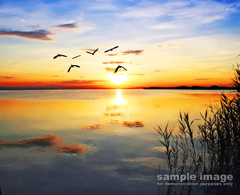 nature-sun-sp-0181.jpg