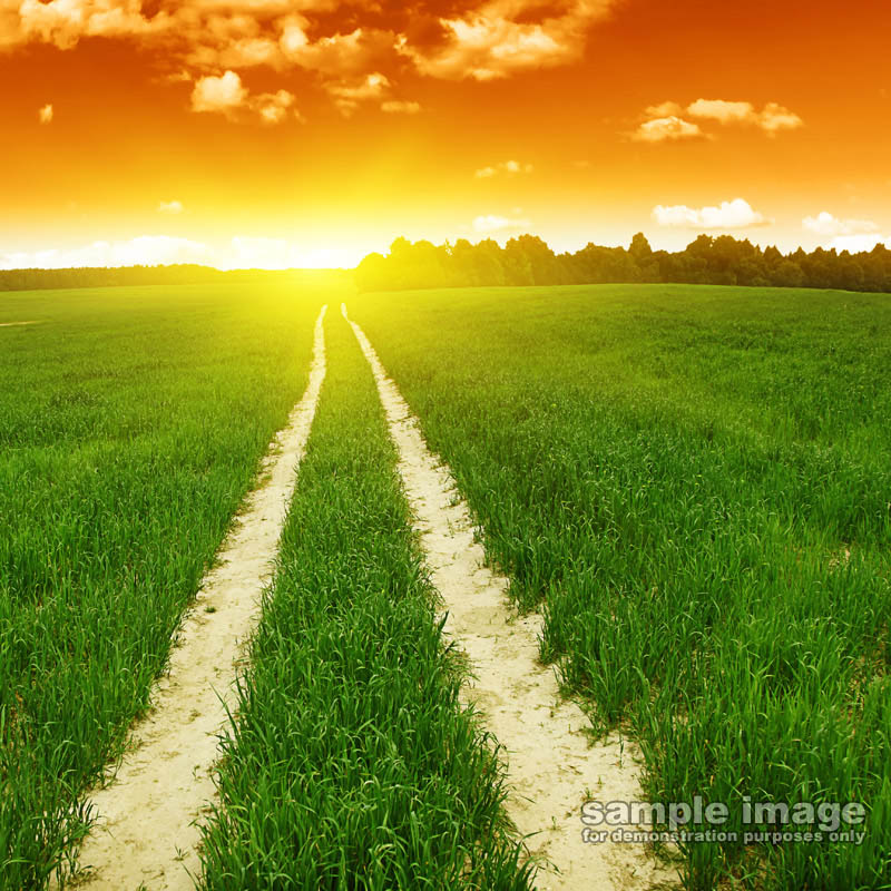 nature-sun-sp-022.jpg