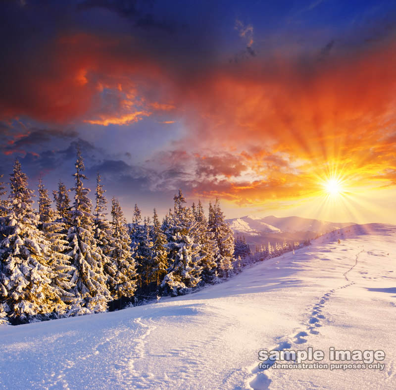 nature-sun-sp-024.jpg