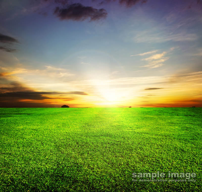 nature-sun-sp-026.jpg