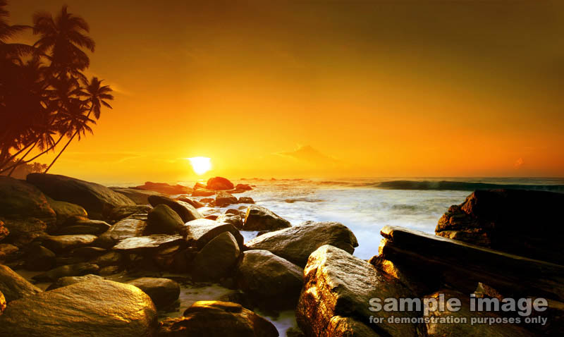 nature-sun-sp-0291.jpg