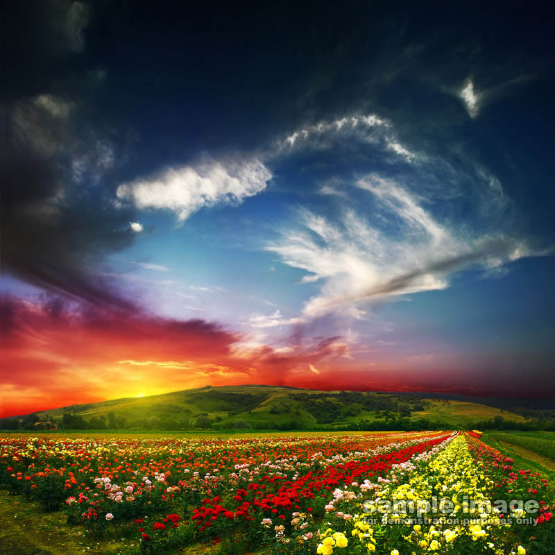 nature-sun-sp-032.jpg