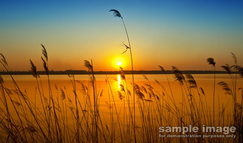 nature-sun-sp-036.jpg
