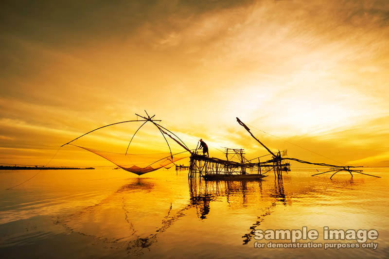 nature-sun-sp-037.jpg