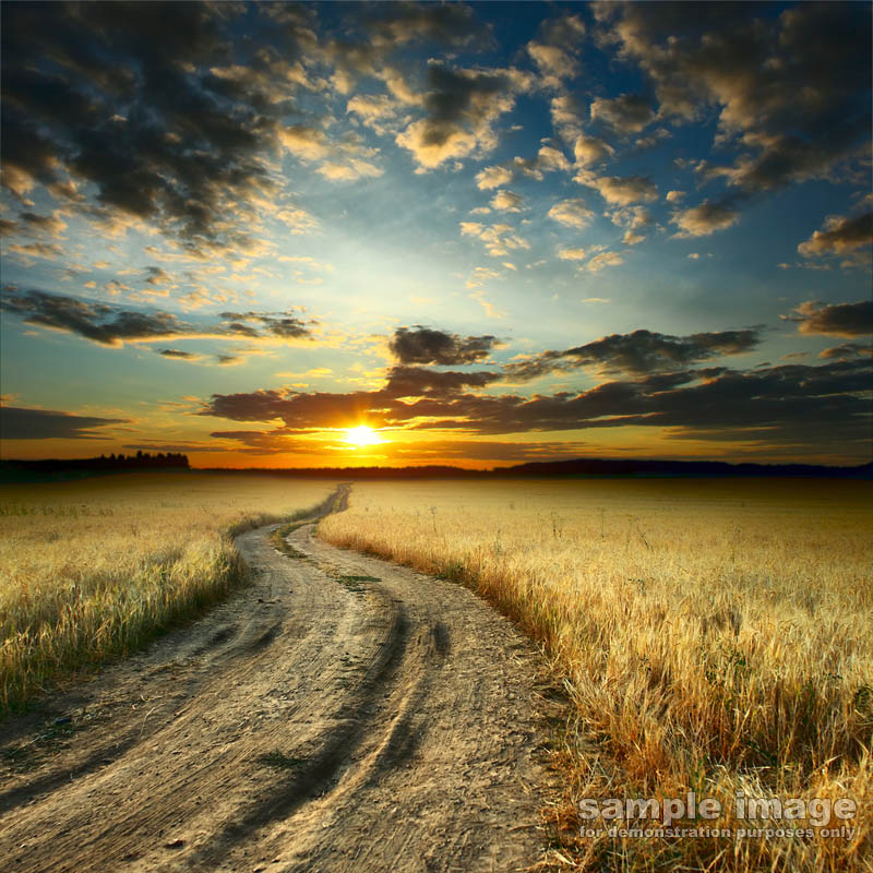 roads-bp-0181.jpg