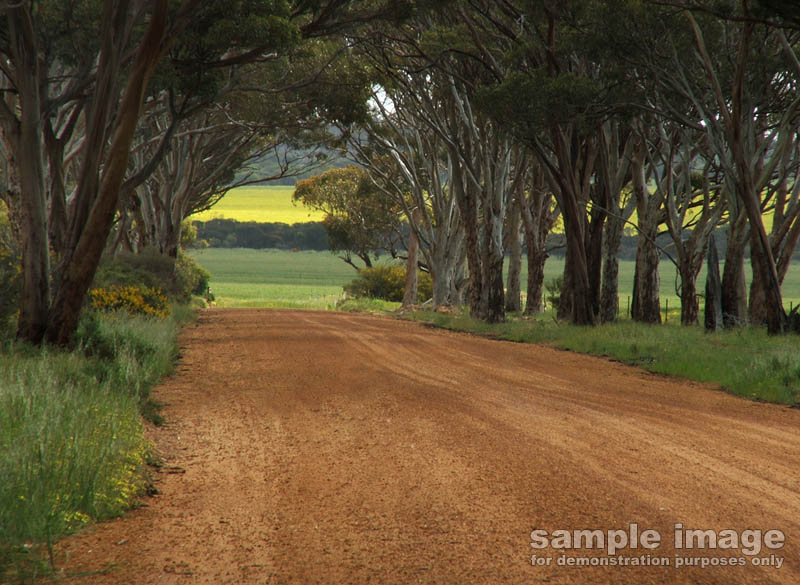 roads-bp-0241.jpg