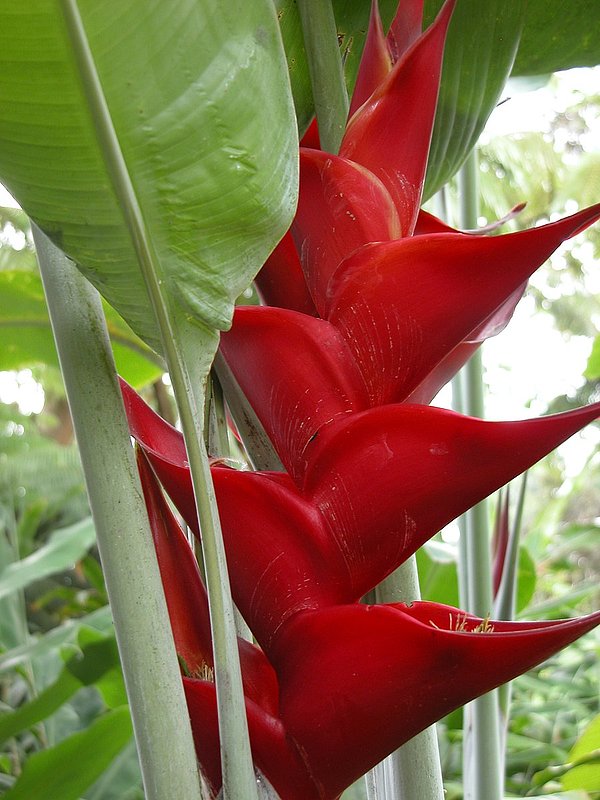 DSCN2138.jpg