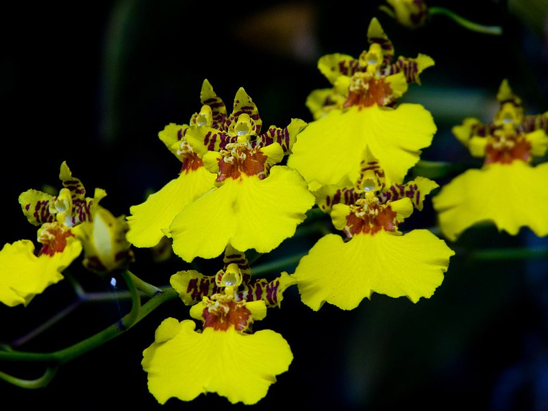 DSCN44471.jpg