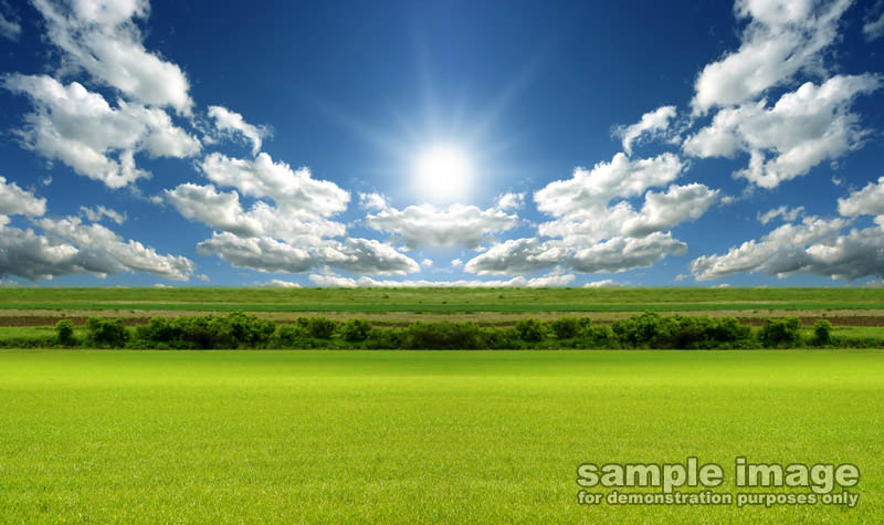 nature-sp-010.jpg
