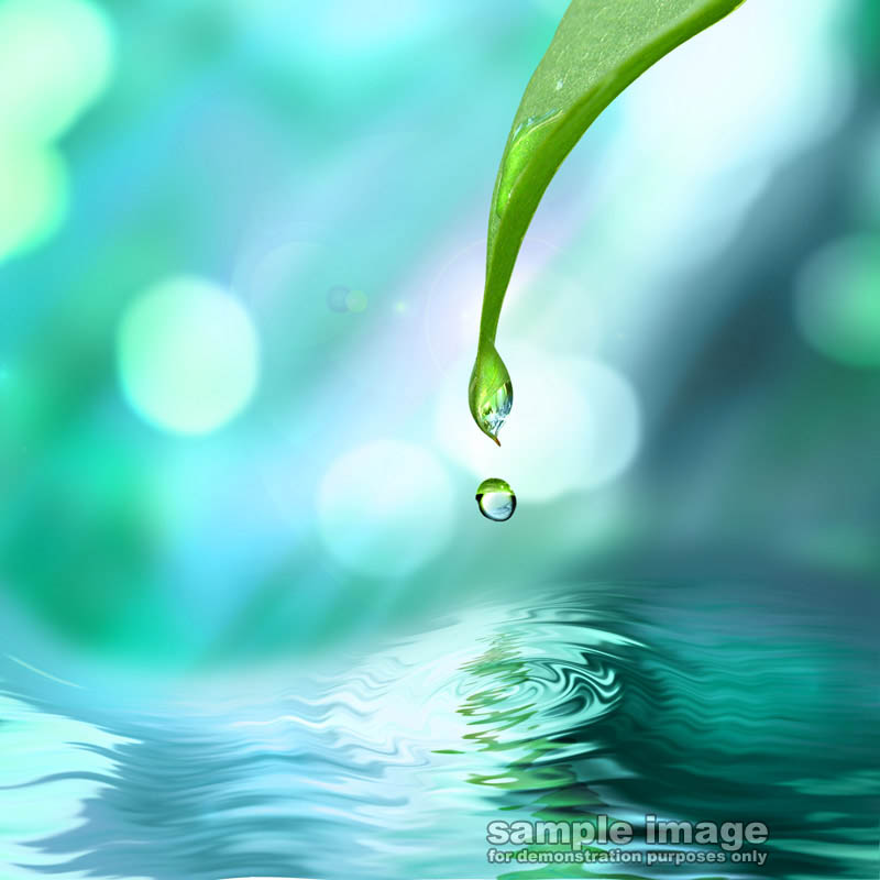 nature-sp-020.jpg