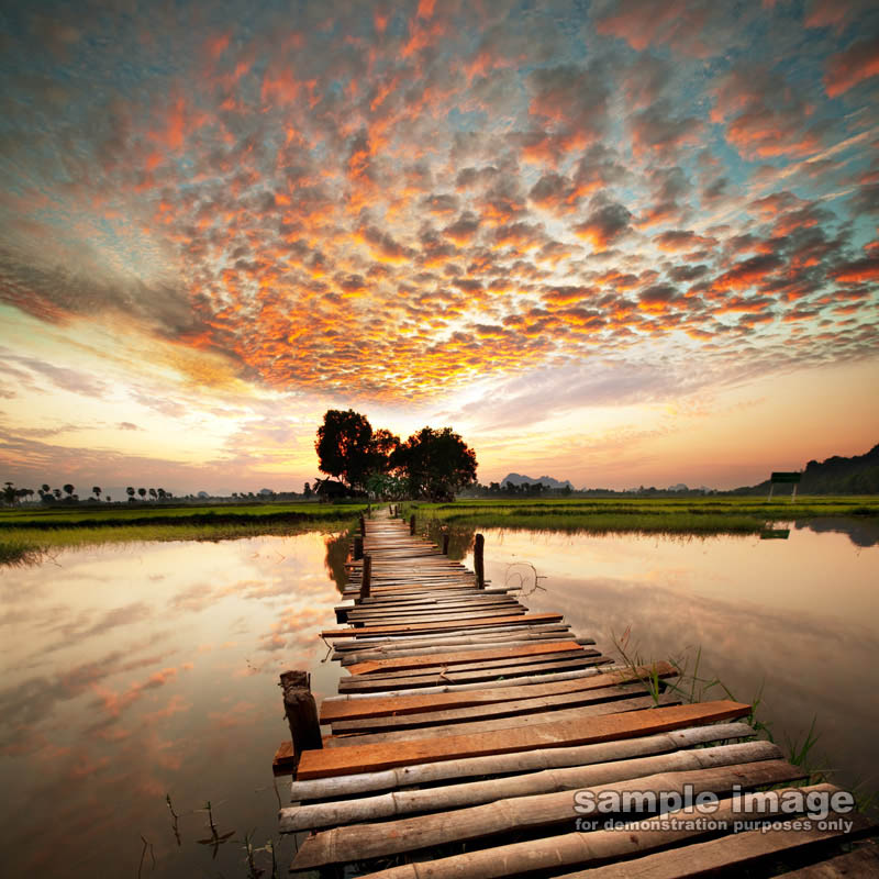 nature-sp-034.jpg