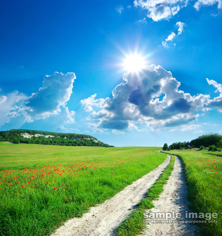 nature-sp-043.jpg