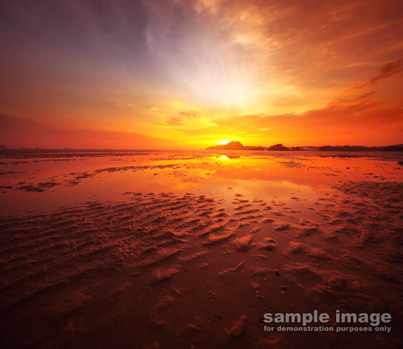 nature-sp-048.jpg