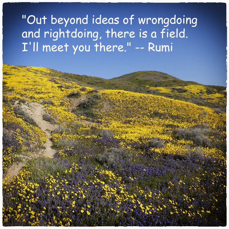 IMG_1082 field vintage 375 w Rumi Quote copy(1).jpg
