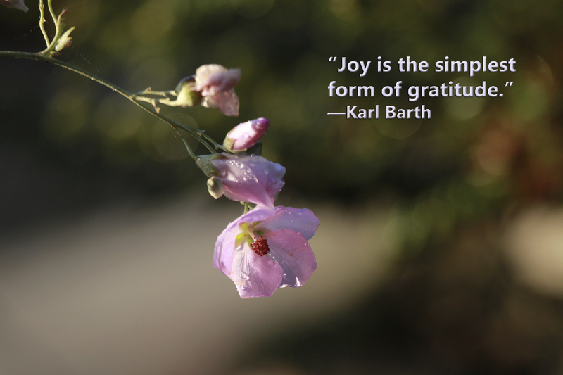 Joy is the Simplest Form of Gratitude (6 of 31)(1).jpg