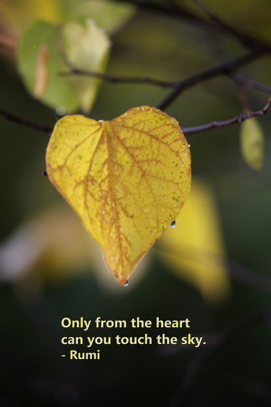 Only from the Heart  (25 of 31)(1).jpg
