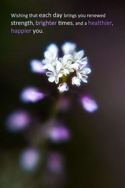 Wishing.jpg :: Wishing that each day brings you renewed strength, brighter times, and a healthier, happier you.