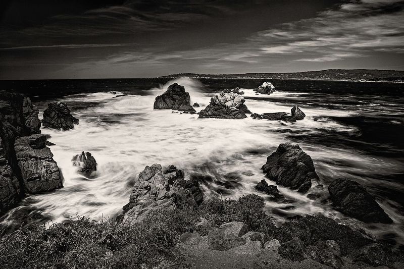 PtLobos-4119.jpg