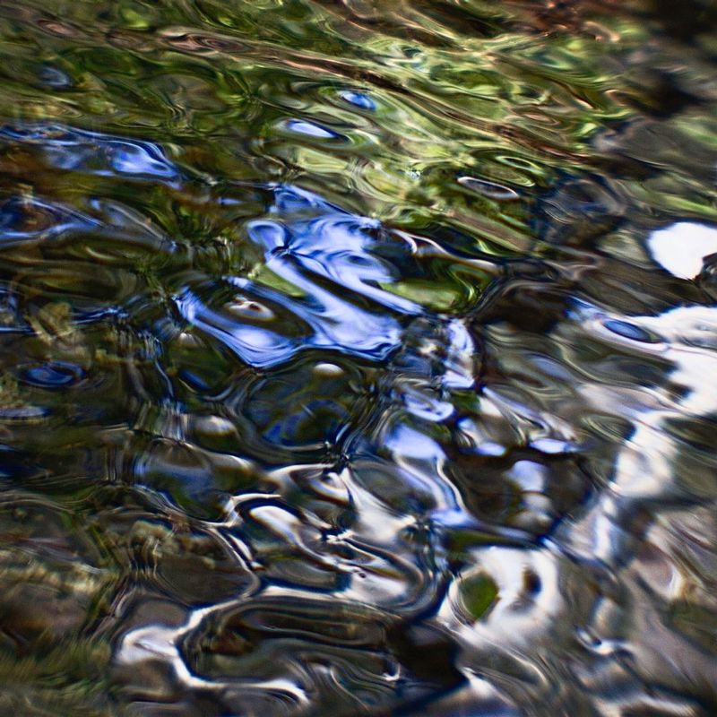River Dances 0816.jpg