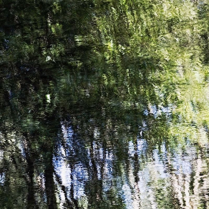 River Dances 14.jpg