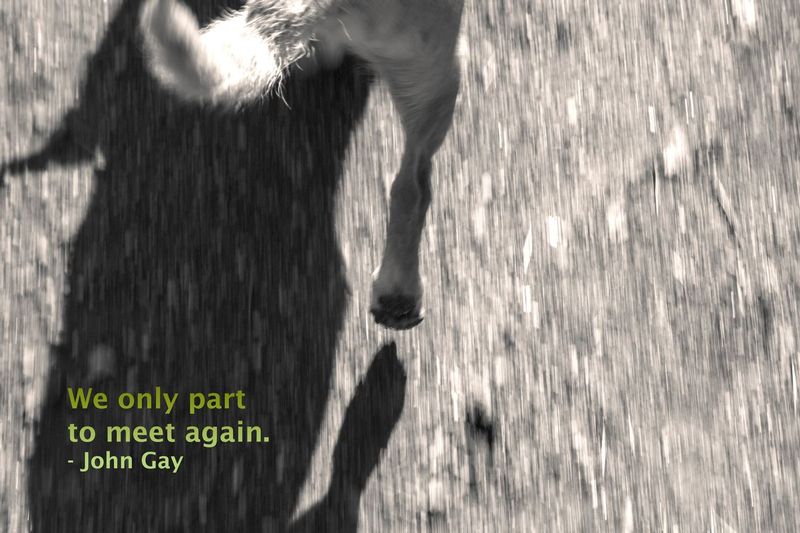 We Only Part - Gay Quote - Greeting Card.jpg :: We Only Part - Gay Quote - Greeting Card