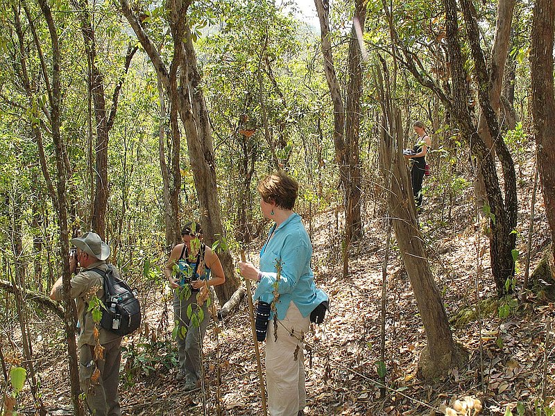 53.jpg :: It is on these 'mini excursions' that we often find plants in flower which we have not seen on previous tours.
