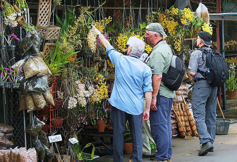 AT16.jpg :: You will have plenty of time to walk around and explore this plant market. You will find stalls selling all kinds of plants here, such as bromeliads, cactus, exotic fruit trees, ferns, herbs, palms, and even water lilies.