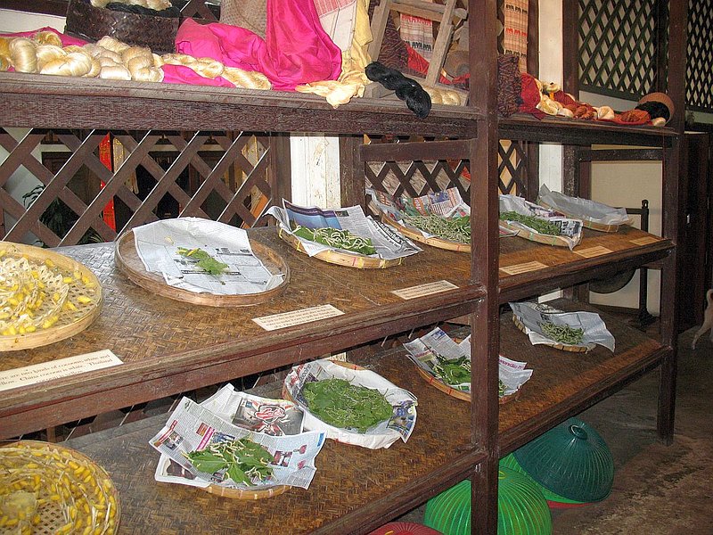 AT19.jpg :: Here you can see the whole process of silk making. From the rearing of the silkworms to the weaving of the silk.