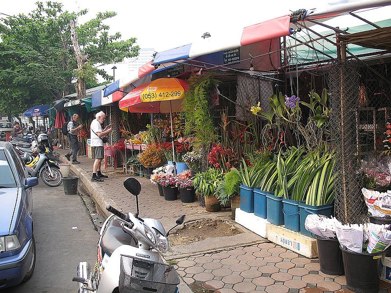 AT22.jpg :: Another interesting place we can visit is Chiang Mai's cut flower market. 