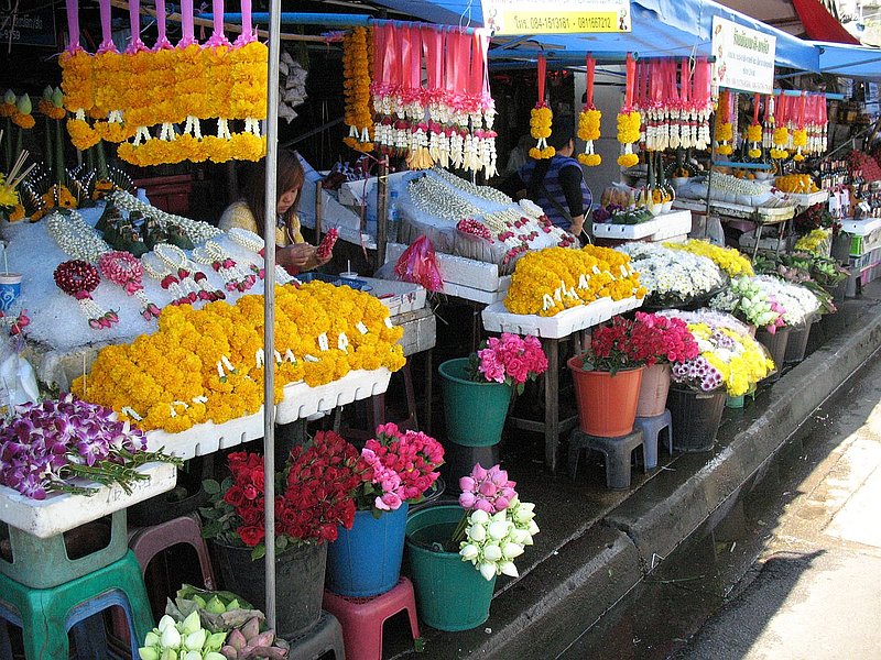 AT23.jpg :: You will see all kinds of flowers on sale here. Many of the cooler growing flowers are grown by the local hill tribe people in their villages high in the mountains.