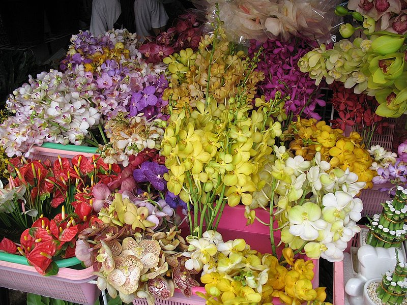 AT25.jpg :: Several stalls specialise in selling a range of orchid flowers, which are used in local festivals and for decoration by the larger tourist hotels.