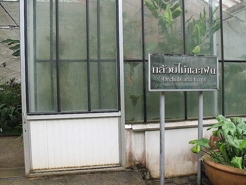 B.jpg :: These gardens were established in 1993 and were the first official botanical gardens in Thailand.
The first place our groups usually visit is the orchid display house.