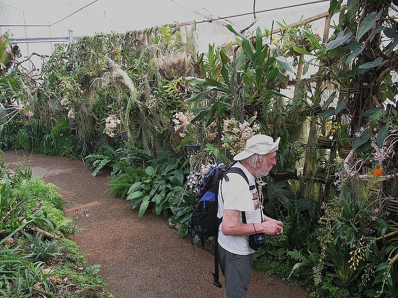 C.jpg :: At this time of year, many of the plants here are in flower and -