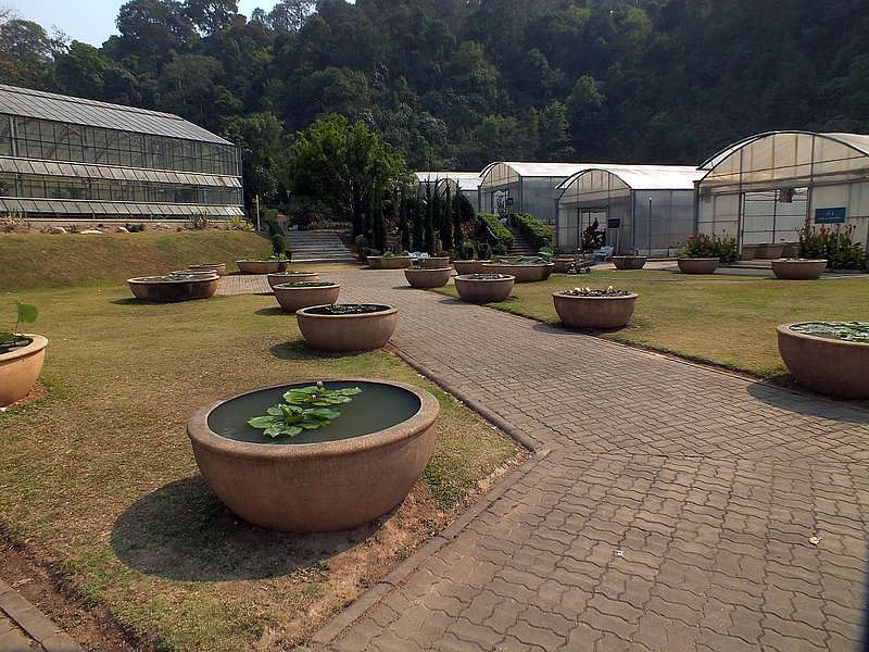 F.jpg :: There are many different themed plant collections set out amongst attractive landscaped gardens.