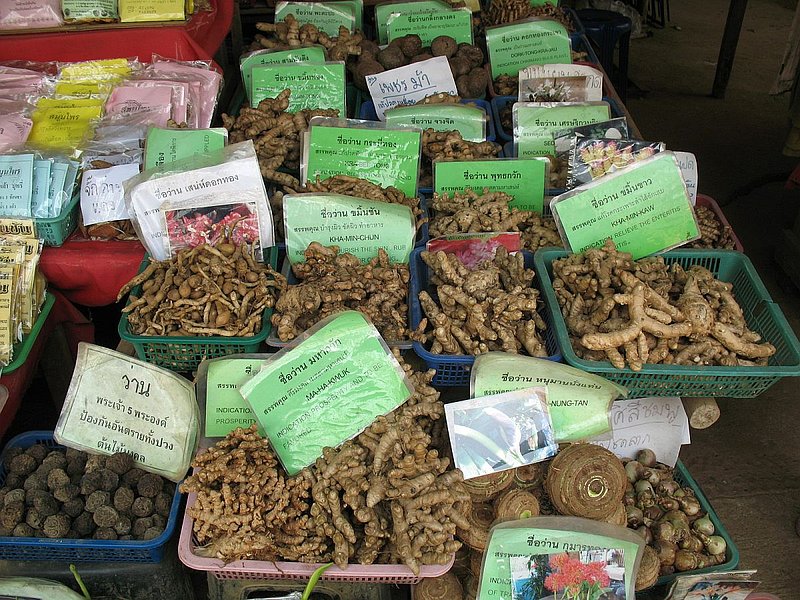 F12.jpg :: There are many stalls around the cave complex - selling a wide range of plants, bulbs, tubers, and roots.