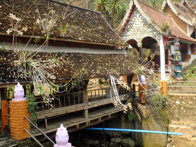 F20.jpg :: You can even see orchids growing on top of some of the buildings.