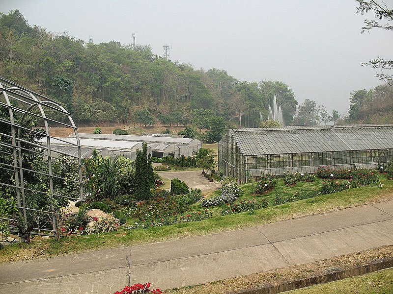 L.jpg :: From these plant display houses, it is only a short walk up some steps to the car park, where there is a well-stocked souvenir shop and restaurant. 
