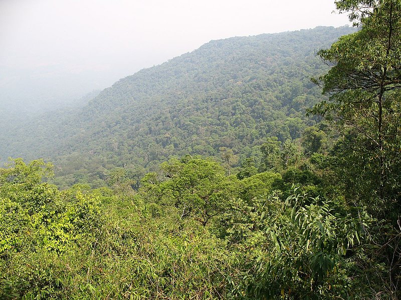PL1.jpg :: The next day, we will explore one of the best orchid habitats we have found in Thailand.
