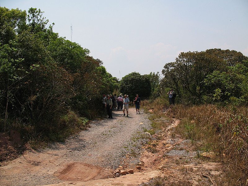 PL3.jpg :: The protected area encompasses a tabletop-type mountain at an altitude of 1,500 meters and a large portion of the surrounding forest. 
There is a road that goes to a ranger station at the top of the mountain, from where we will start our trek.
