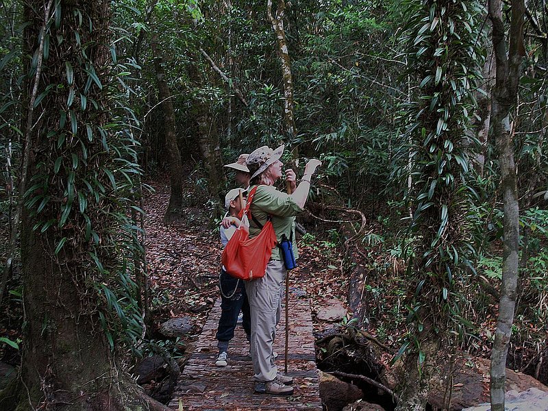 PL33.jpg :: Towards the end of the trail, the path goes into a dense forest and passes between old trees that are covered with orchids.