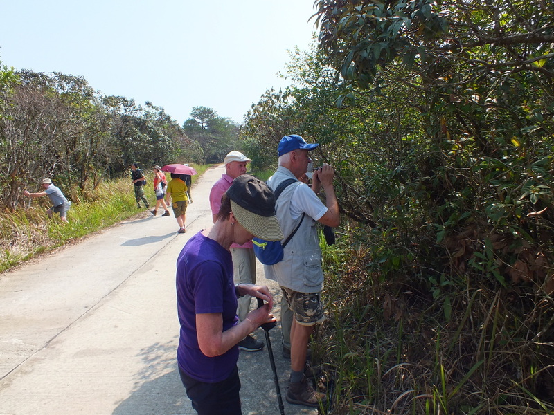 PL37.jpg :: We will return to the ranger station for a meal and then, in the afternoon, take another walk down a different path.
