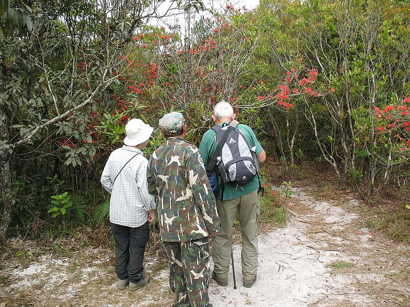 PL9.jpg :: One of the sanctuary's official rangers will act as our guide, as they do not allow people to go into the forest here without an escort. 