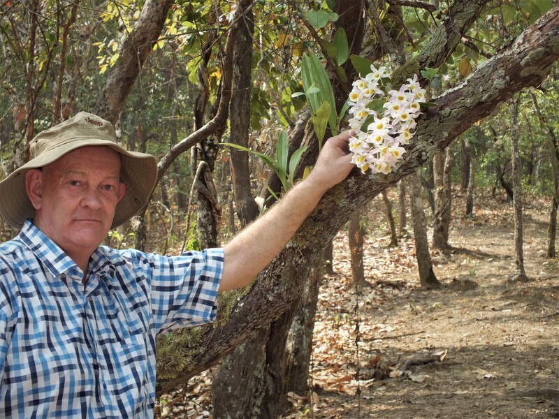 R39A.jpg :: Sometimes Peter doesn't need to point out the orchid in flower!