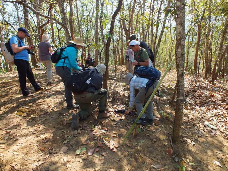 R50.jpg :: Our March 2024 group - find something interesting!