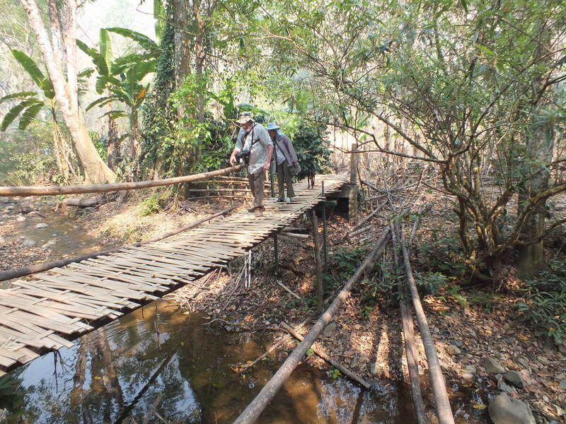 R55.jpg :: The trek ends as we come out of the forest near a hill tribe village, and then all we have to do is cross a small stream. 