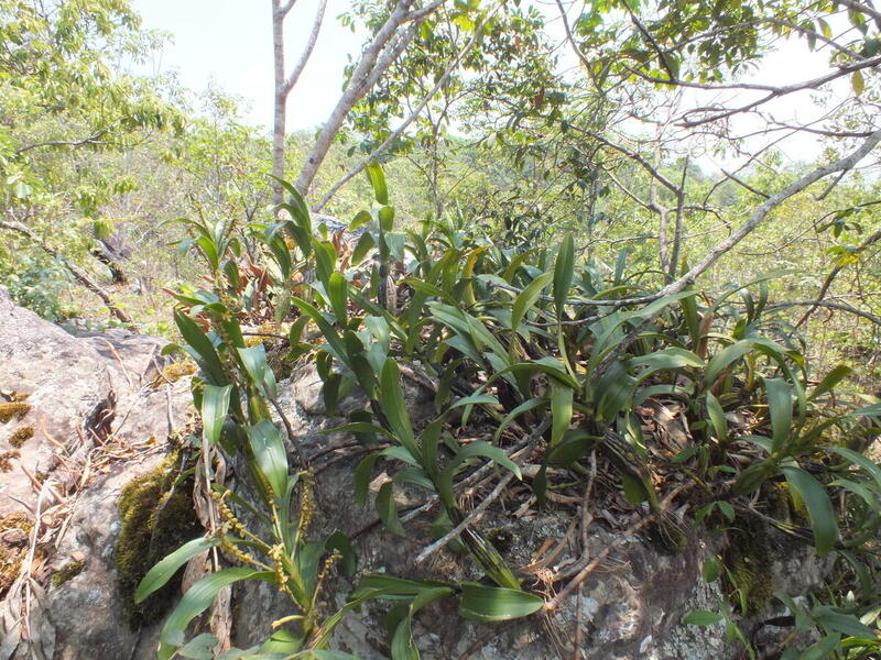 eg17.jpg :: We will also find many species that we have not seen before.