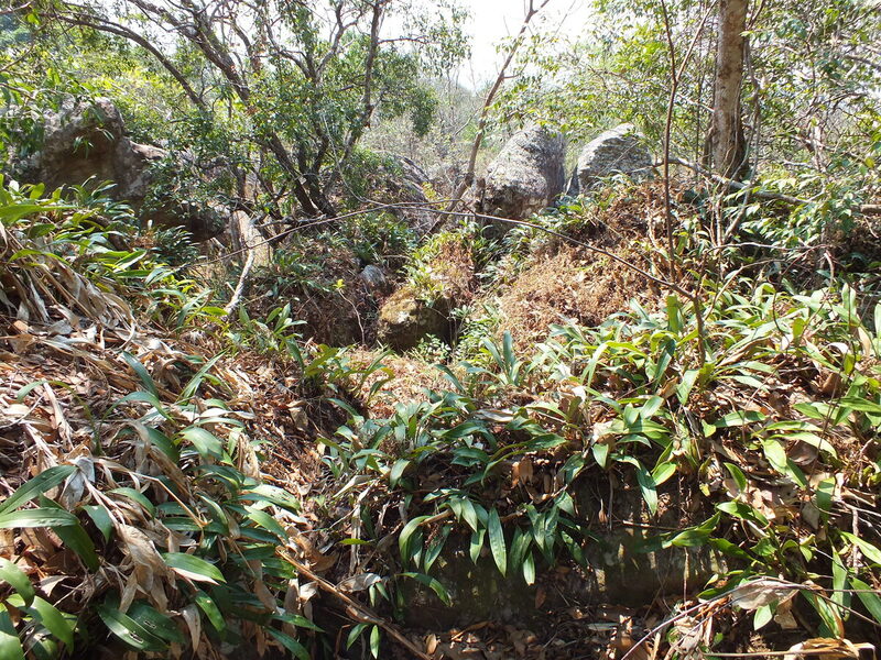 pp1.jpg :: We will return to the National Park for another morning's exploration. 
We will drive further up the road inside the park, and then follow a trail that leads to a rocky plateau. 