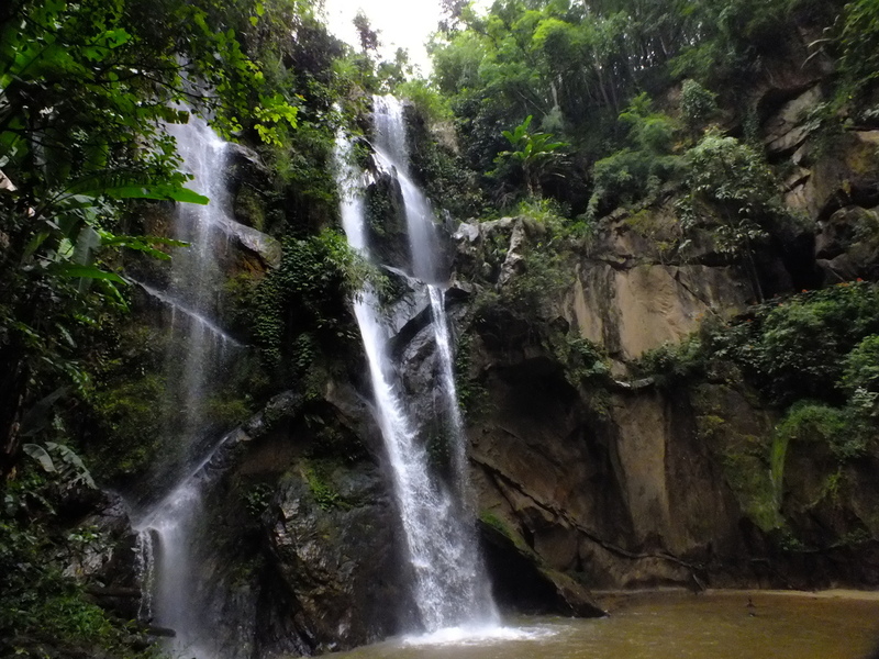 pp30.jpg :: Depending on the weather, in the afternoon we can either visit some of the local cultural attractions, or maybe carry on orchid hunting and explore the forest near one of the park's waterfalls. This would be a new trek on the tour.